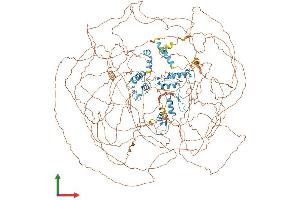 Protein Structure (PS) image for GLI Family Zinc Finger 3 (GLI3) (AA 1-1580) protein (His tag) (ABIN7554024)