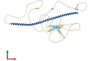 Protein Structure (PS) image for Syntaphilin (SNPH) (AA 1-495) protein (His tag) (ABIN7558323)