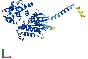 Protein Structure (PS) image for Guanine Nucleotide Binding Protein (G Protein), alpha 11 (Gq Class) (GNA11) (AA 1-359) protein (His tag) (ABIN7548119)
