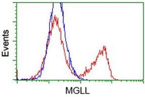 HEK293T cells transfected with either RC218358 overexpress plasmid (Red) or empty vector control plasmid (Blue) were immunostained by anti-MGLL antibody (ABIN2454597), and then analyzed by flow cytometry. (MGLL 抗体)