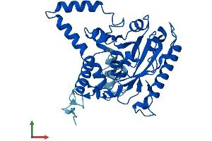 AlphaFold protein structure predicition of Human Recombinant MOGAT2 Protein, UniprotID Q3SYC2