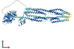 Protein Structure (PS) image for Actinin, alpha 3 (ACTN3) (AA 1-901) protein (His tag) (ABIN7551880)