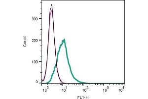 Cell surface detection of CCR2 by indirect flow cytometry in live intact mouse J774 macrophage cell line: + goat-anti-rabbit-FITC.
