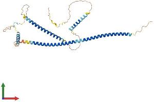 AlphaFold protein structure predicition of Human Recombinant GKAP1 Protein, UniprotID Q5VSY0