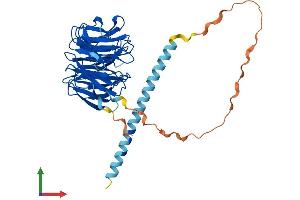 Protein Structure (PS) image for POC1 Centriolar Protein Homolog A (POC1A) (AA 1-407) protein (His tag) (ABIN7550878)