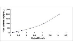 Typical standard curve (BCKDK ELISA 试剂盒)