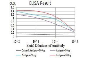 Black line: Control Antigen (100 ng),Purple line: Antigen (10 ng), Blue line: Antigen (50 ng), Red line:Antigen (100 ng) (ASH2L 抗体  (AA 493-628))