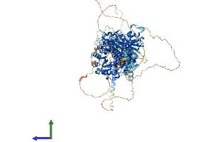 Protein Structure (PS) image for Potassium Large Conductance Calcium-Activated Channel, Subfamily M, alpha Member 1 (KCNMA1) (AA 1-1209) protein (His tag) (ABIN7563611)