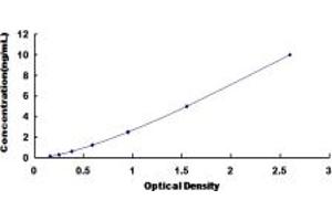 Typical standard curve (CACNA1B ELISA 试剂盒)