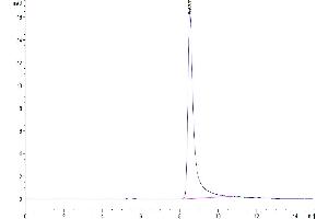The purity of Biotinylated Mouse IL-17F is greater than 95 % as determined by SEC-HPLC. (IL17F Protein (AA 29-161) (His-Avi Tag,Biotin))