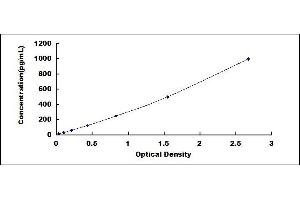 Typical standard curve (Amphiregulin ELISA 试剂盒)