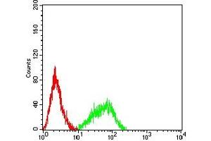 Flow Cytometry (FACS) image for anti-Chemokine (C-X-C Motif) Receptor 2 (CXCR2) antibody (ABIN7193274)