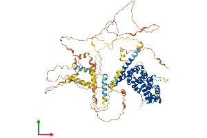 Protein Structure (PS) image for Protein Associated with Topoisomerase II Homolog 1 (PATL1) (AA 1-770) protein (His tag) (ABIN7554856)