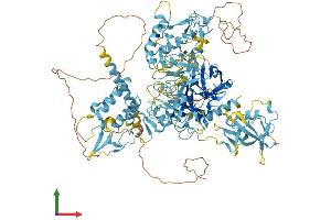 Protein Structure (PS) image for Corin, Serine Peptidase (CORIN) (AA 1-1042) protein (His tag) (ABIN7553552)