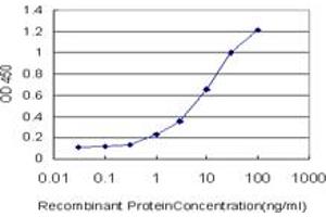 Detection limit for recombinant GST tagged HGD is approximately 0. (HGD 抗体  (AA 377-445))