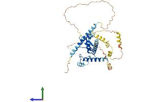 Protein Structure (PS) image for Actin-Binding rho Activating Protein (ABRA) (AA 1-375) protein (His tag) (ABIN7558911)