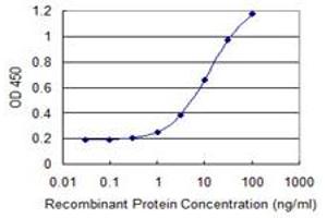 Detection limit for recombinant GST tagged CHST3 is 0. (CHST3 抗体  (AA 312-411))