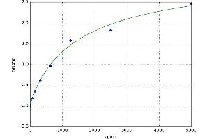 Growth Differentiation Factor 3 (GDF3) ELISA Kit