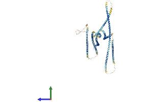 AlphaFold protein structure predicition of Mouse Recombinant Pmfbp1 Protein, UniprotID Q9WVQ0