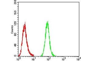 Flow cytometric analysis of THP-1 cells using CD196 mouse mAb (green) and negative control (red). (CCR6 抗体)