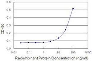 Detection limit for recombinant GST tagged MAF1 is 3 ng/ml as a capture antibody. (MAF1 抗体  (AA 1-256))