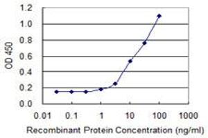 Detection limit for recombinant GST tagged MBNL1 is 0. (MBNL1 抗体  (AA 1-343))
