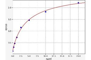 CD3 ELISA 试剂盒