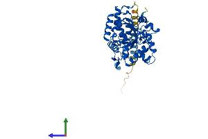 Protein Structure (PS) image for ST8 alpha-N-Acetyl-Neuraminide alpha-2,8-Sialyltransferase 5 (ST8SIA5) (AA 1-376) protein (His tag) (ABIN7546124)