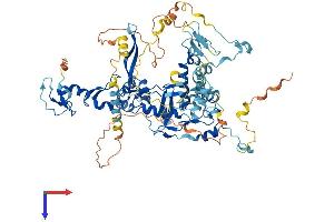 FBXO40 Protein (AA 1-709) (His tag)