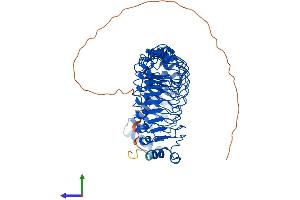 Protein Structure (PS) image for Leucine-rich repeat protein SHOC-2 (SHOC2) (AA 1-582) protein (His tag) (ABIN7562619)