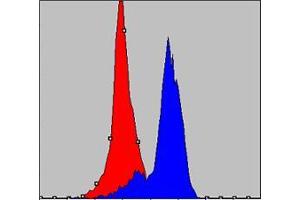 Flow cytometric analysis of K562 cells using COX4I1 mouse mAb (blue) and negative control (red). (COX IV 抗体)