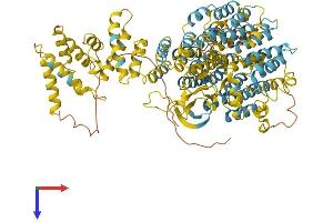 PSMD2 Protein (AA 1-908) (His tag)
