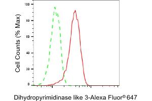 Flow cytometric analysis of Dihydropyrimidinase like 3 expression in HT- cells using Dihydropyrimidinase like 3 antibody (ABIN7798338), 1:2,000). (Recombinant DPYSL3 抗体)
