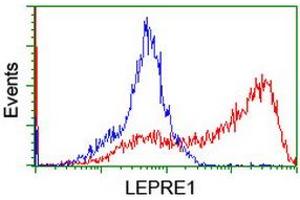 HEK293T cells transfected with either RC222535 overexpress plasmid (Red) or empty vector control plasmid (Blue) were immunostained by anti-LEPRE1 antibody (ABIN2455936), and then analyzed by flow cytometry. (LEPRE1 抗体)