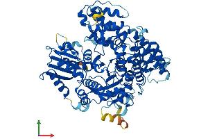 Protein Structure (PS) image for Sec1 Family Domain Containing 2 (SCFD2) (AA 1-684) protein (His tag) (ABIN7558888)