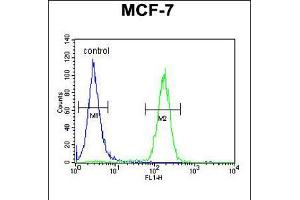 Flow cytometric analysis of MCF-7 cells (right histogram) compared to a negative control cell (left histogram). (THOC7 抗体  (C-Term))