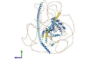Protein Structure (PS) image for Myosin Phosphatase, Target Subunit 1 (PPP1R12A) (AA 1-1030) protein (His tag) (ABIN7554659)