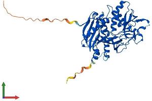 Protein Structure (PS) image for Dom-3 Homolog Z (DOM3Z) (AA 1-396) protein (His tag) (ABIN7547201)