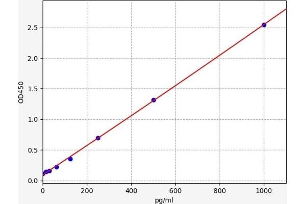 Cardiotrophin 1 ELISA 试剂盒
