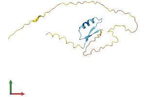 Protein Structure (PS) image for Ripply1 Homolog (RIPPLY1) (AA 1-151) protein (His tag) (ABIN7551400)