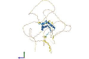 Protein Structure (PS) image for SRY (Sex Determining Region Y)-Box 9 (SOX9) (AA 1-509) protein (His tag) (ABIN7546261)