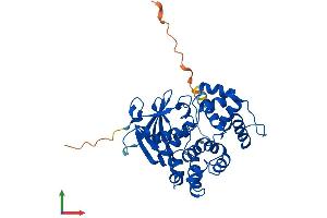 Protein Structure (PS) image for 8-Oxoguanine DNA Glycosylase (OGG1) (AA 1-345) protein (His tag) (ABIN7550344)