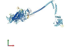 AlphaFold protein structure predicition of Human Recombinant MYO1C Protein, UniprotID O00159