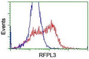 Flow Cytometry (FACS) image for anti-Ret Finger Protein-Like 3 (RFPL3) antibody (ABIN1500676) (RFPL3 抗体)