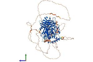 AlphaFold protein structure predicition of Mouse Recombinant Agbl5 Protein, UniprotID Q09M02