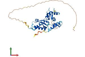 AlphaFold protein structure predicition of Human Recombinant NSMCE3 Protein, UniprotID Q96MG7