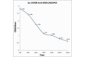 ELISA image for anti-Mitogen-Activated Protein Kinase 3 (MAPK3) (AA 101-200) antibody (ABIN736476)