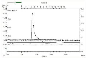 Cadherin 9 (CDH9) (AA 54-615), Gel filtration Superose 6, Fraction 7-9