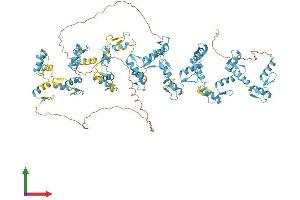 AlphaFold protein structure predicition of Human Recombinant ZFP62 Protein, UniprotID Q8NB50