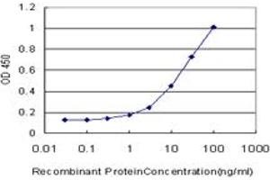 Detection limit for recombinant GST tagged CDK4 is approximately 0. (CDK4 抗体  (AA 211-303))